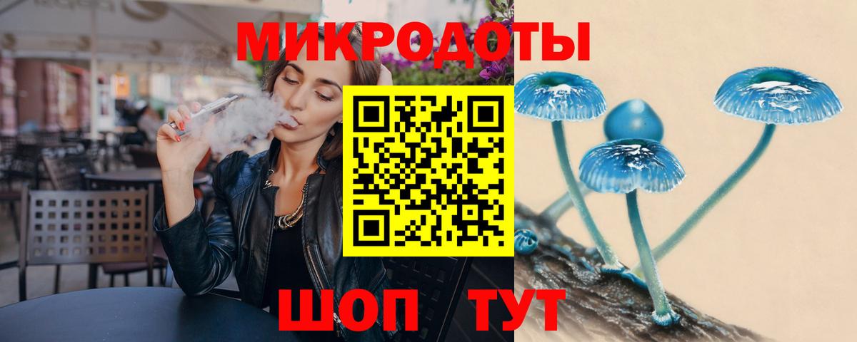 Псилоцибиновые грибы Psilocybine cubensis  Вход с VPN  Нижний Новгород  Псилоцибиновые грибы прущие грибы 