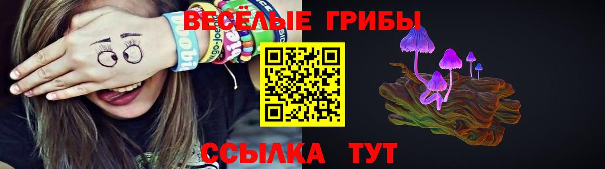 Галлюциногенные грибы MAGIC MUSHROOMS Нижний Новгород